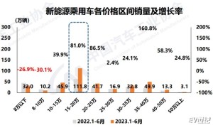 蓝山一枝独秀，魏牌转型之路仍然坎坷