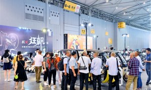 成交额破300万，超2万人次观展！第二届熊猫消费节新能源车展圆满落幕