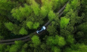 油电双行，数实融合 2023年前三季度梅赛德斯-奔驰实现在华业务稳健发展