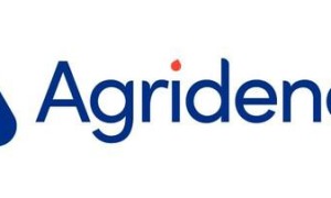 Agridence引领RSPO的数字化转型